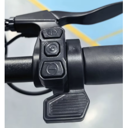 Acelerador de gatilho para trotinetes AUSOM 48V 52V 60V K20 PRO GOSOUL 2 DT2 PRO L1 L2 L2 MAX F1 MAX VSETT APEX ou similar  - 6 