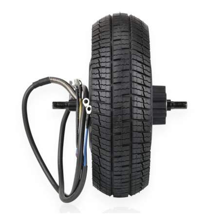 Sukomplektuotas Segway P65 serijos, P100SE, P100SU elektrinio paspirtuko variklis - maksimali galia 1350w Segway - Ninebot - 1 S