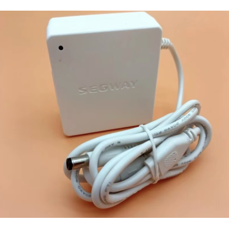 Originalus vidinis akumuliatoriaus įkroviklis Segway Ninebot W1 Drift - 25v 1.5A  - 1 Originalus vidinis akumuliatoriaus įkrovik